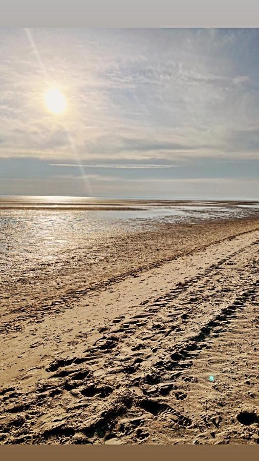 Habel Whg 9 Deichkieker Daire Wyk auf Föhr Dış mekan fotoğraf